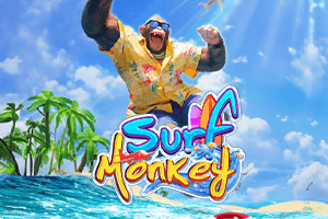 Surf Monkey